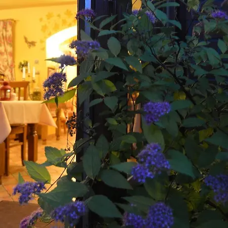 Hotel Magnes