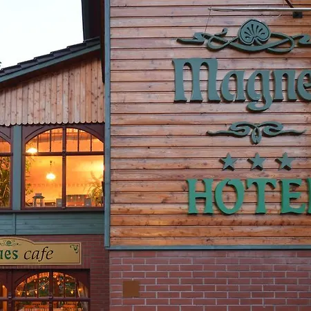 Hotel Magnes 3*