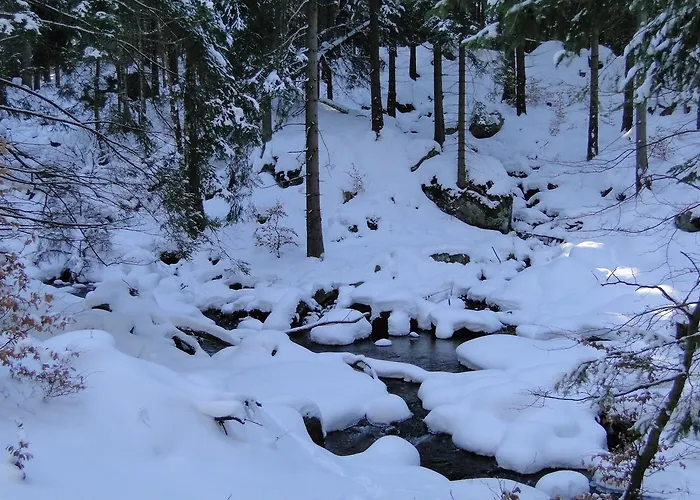 Magnes 3* Szklarska Poreba